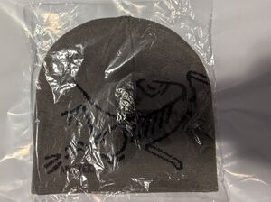 Gray Knit Beanie with Black Design Arcteryx